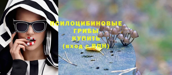 гашик Елизово