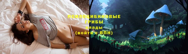 ПСИЛОЦИБИНОВЫЕ ГРИБЫ Заволжск