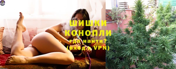 гашик Елизово