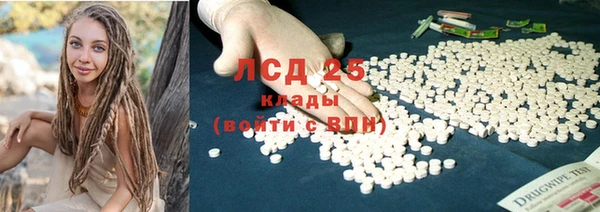 ПСИЛОЦИБИНОВЫЕ ГРИБЫ Заволжск