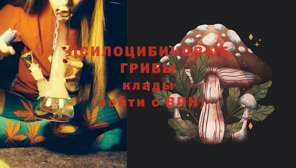 ПСИЛОЦИБИНОВЫЕ ГРИБЫ Заволжск